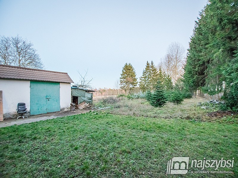 Duży dom z potencjałem (12)