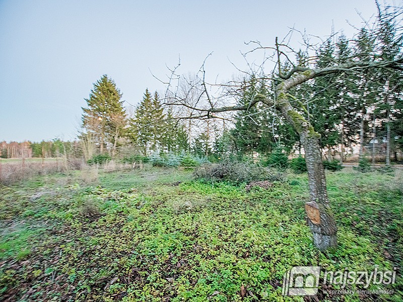 Duży dom z potencjałem (13)