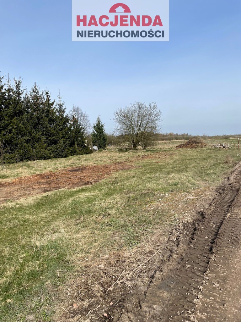 Inna, 747 m2, Dębostrów  (1)