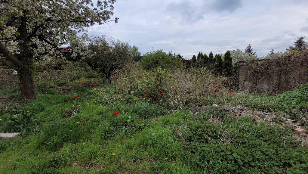 3 pokojowe bezczynszowe, ogród, garaż- do remontu (4)