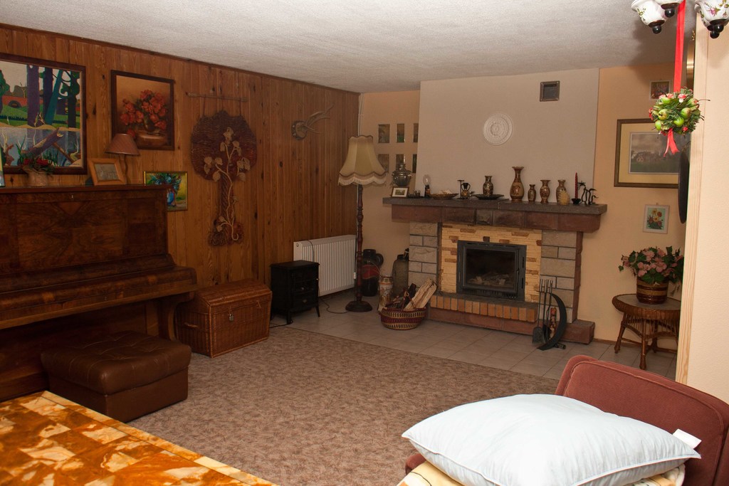 Dom   z gruntami pod agroturystykę lub winnicę (24)