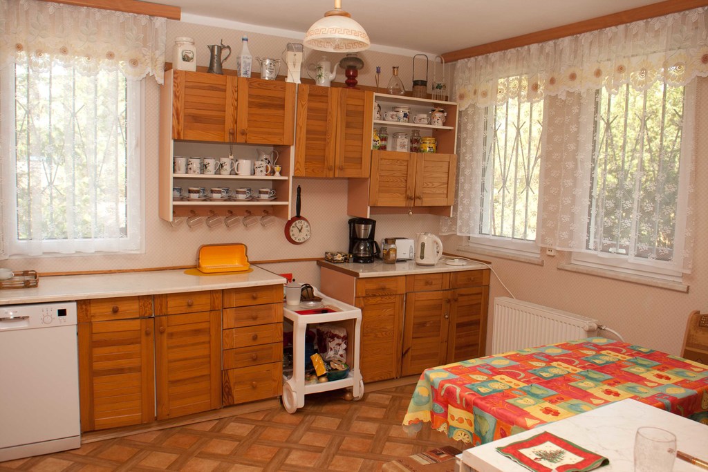 Dom   z gruntami pod agroturystykę lub winnicę (26)