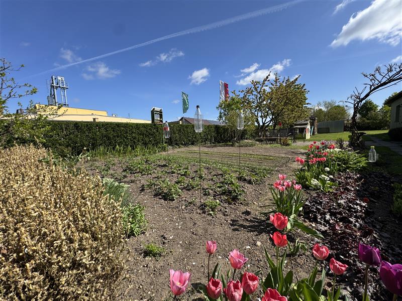 Dom wolnostojący - Bonin Bonin (3)