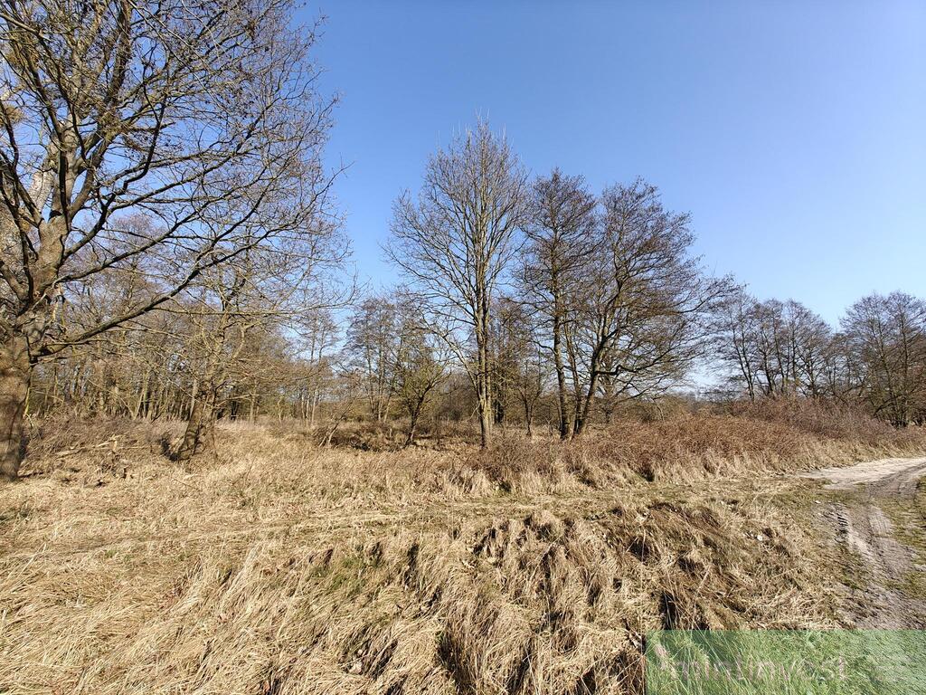 Grunty rolne z dotacjami UE (4)