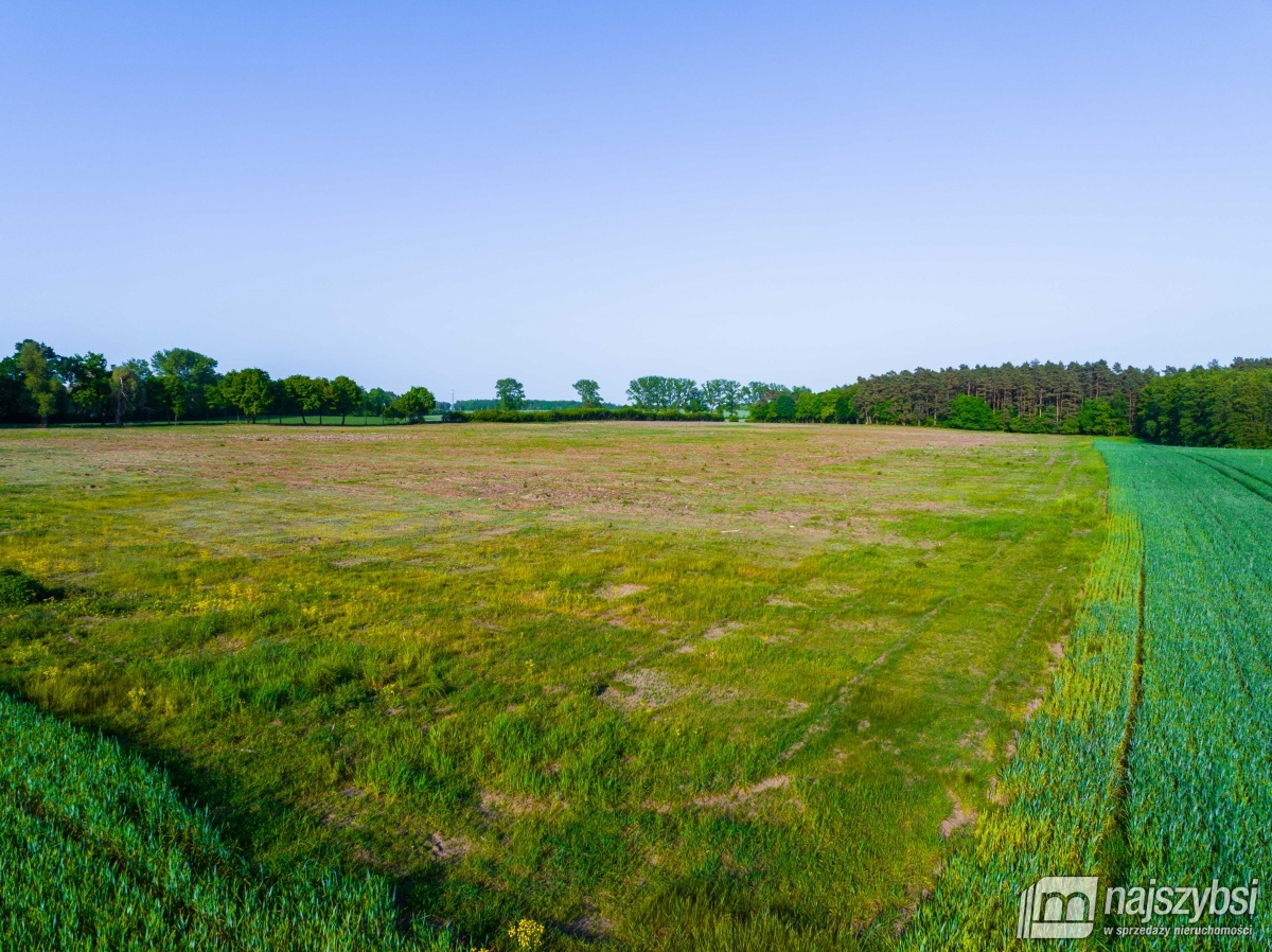 Promocja! 50zł za m2 // Kompleks działek nad jezio (19)