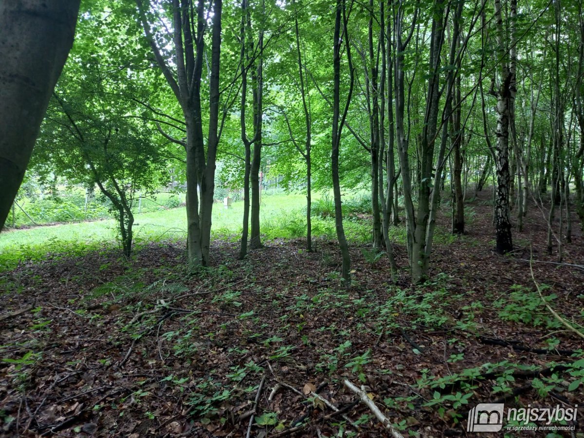 Dargocice-działka z warunkami zabudowy (16)