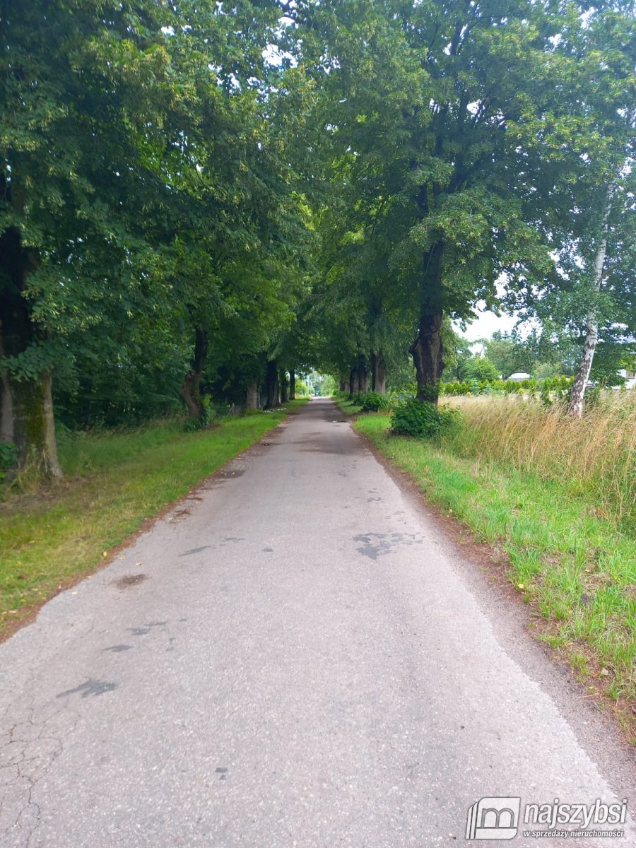Dargocice-działka z warunkami zabudowy (20)