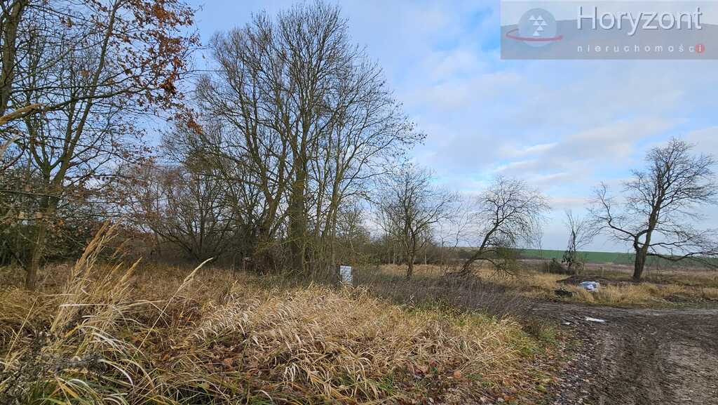 Działki w Siadle Dolnym 370zł/1m2 (1)