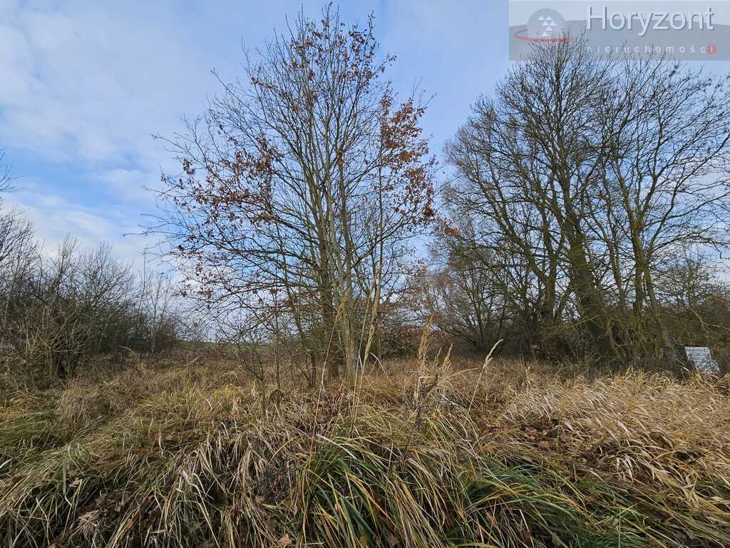 Działki w Siadle Dolnym 370zł/1m2 (3)