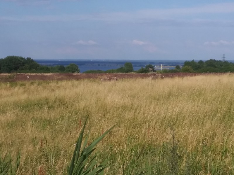 Rolno-budowlana, 7,086 m2, Szczecin Skolwin (5)