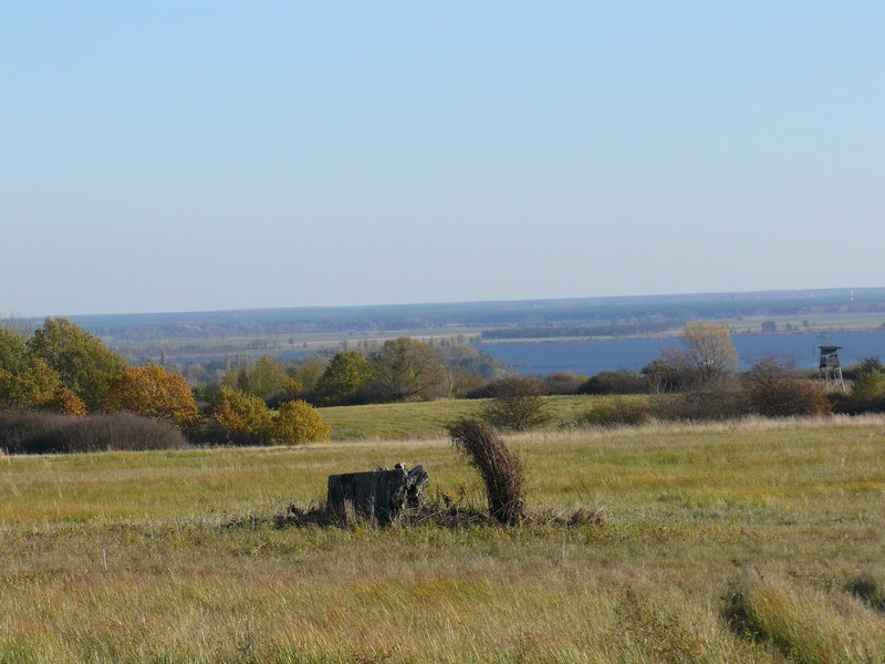 Rolno-budowlana, 7,086 m2, Szczecin Skolwin (4)