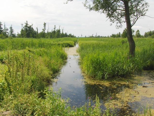 Rekreacyjna, 3,000 m2, Komarowo  (1)