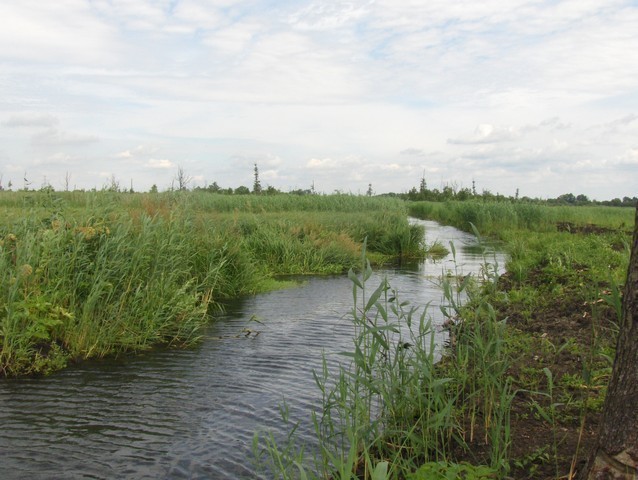 Rekreacyjna, 3,000 m2, Komarowo  (2)