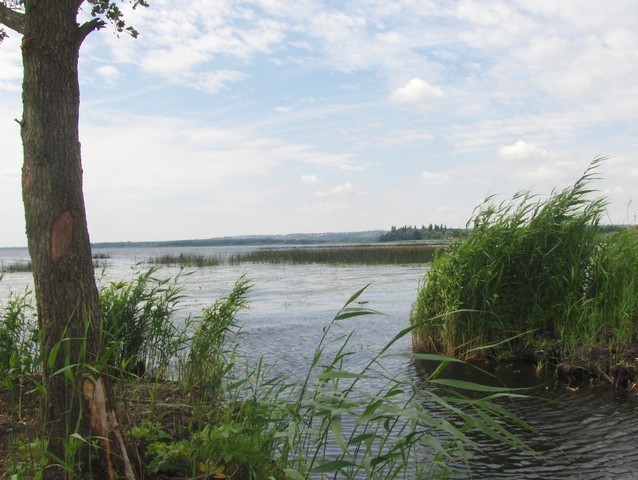 Rekreacyjna, 3,000 m2, Komarowo  (3)