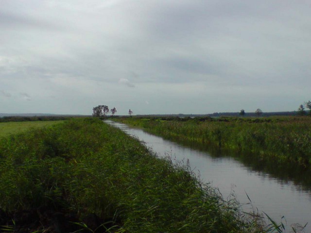 Rekreacyjna, 3,000 m2, Komarowo  (5)