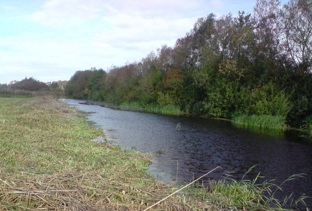 Rekreacyjna, 3,000 m2, Komarowo  (6)