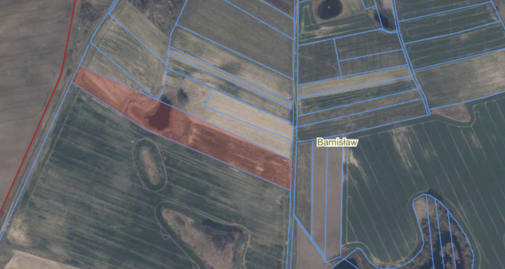 Działka rolna ze stawem w Barnisławiu (6)