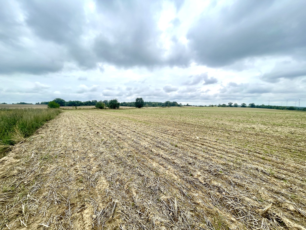 Działka rolna ze stawem w Barnisławiu (10)