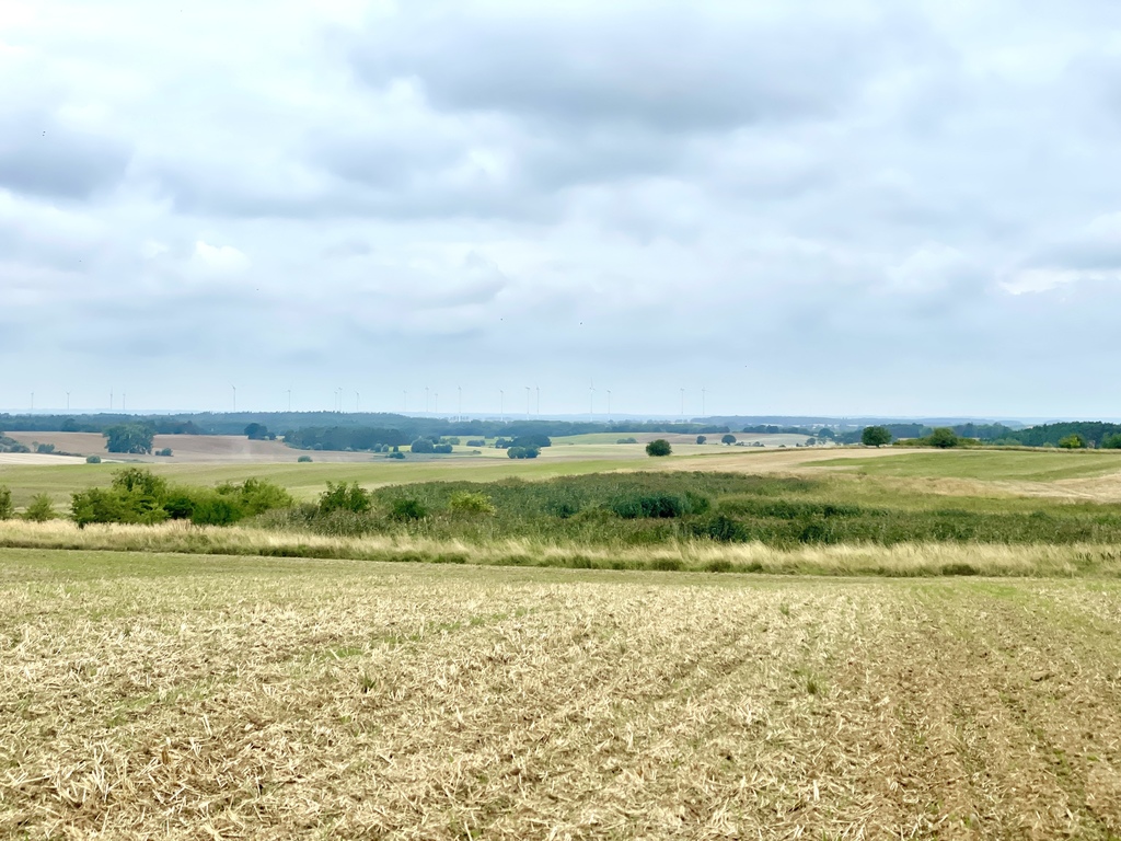 Działka rolna ze stawem w Barnisławiu (1)