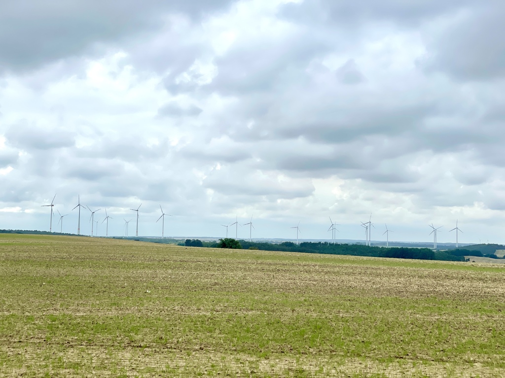 Działka rolna ze stawem w Barnisławiu (9)