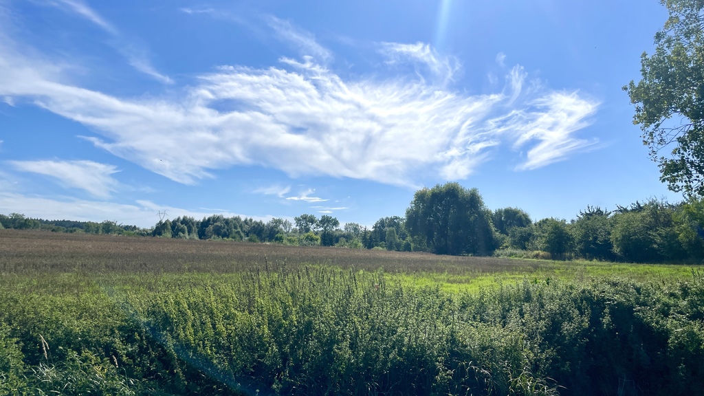 Działki rolne o powierzchni 3.190m2 Siadło Górne (2)