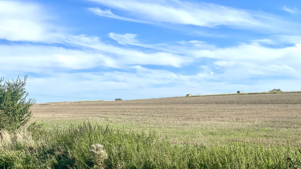 Działki rolne o powierzchni 3.190m2 Siadło Górne (1)