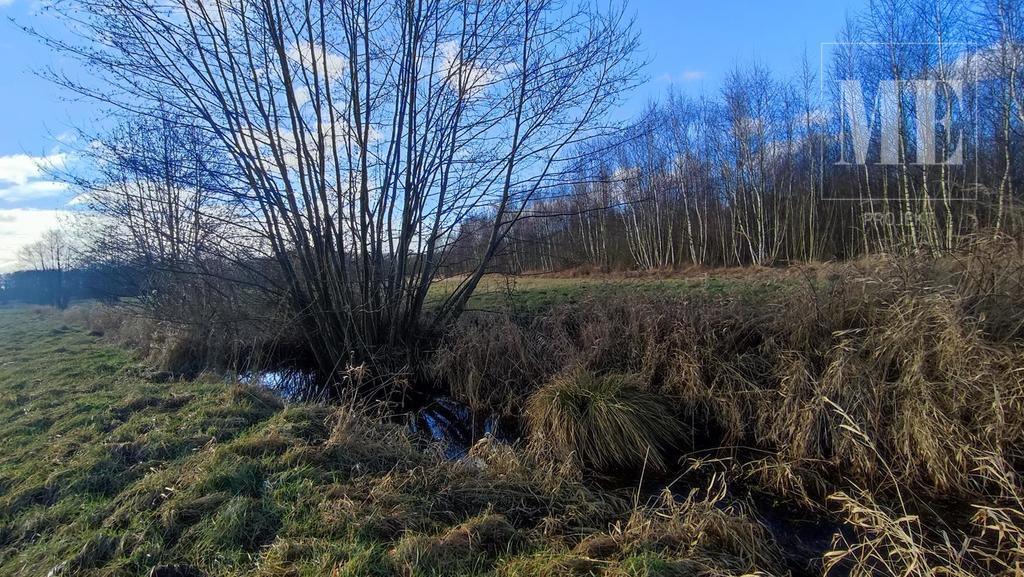Inwestycyjne działki rolne Osina na sprzedaż (4)