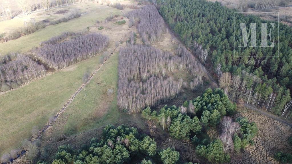 Inwestycyjne działki rolne Osina na sprzedaż (6)