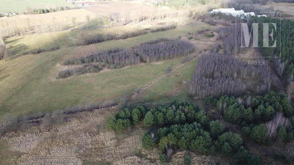 Inwestycyjne działki rolne Osina na sprzedaż (7)