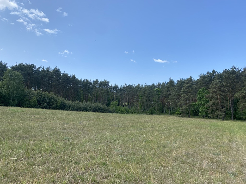 Działka na sprzedaż Przybiernów tuż przy lesie. (3)