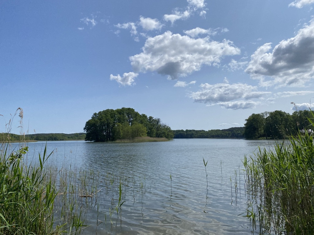Działka na sprzedaż Przybiernów tuż przy lesie. (6)