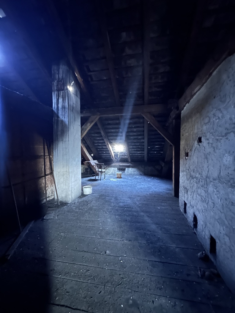 Budynek biurowy ze sklepem  w Trzcińsku Zdroju (15)