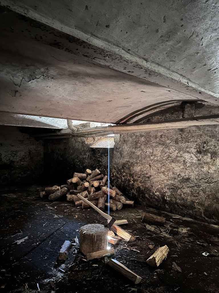 Budynek biurowy ze sklepem  w Trzcińsku Zdroju (18)