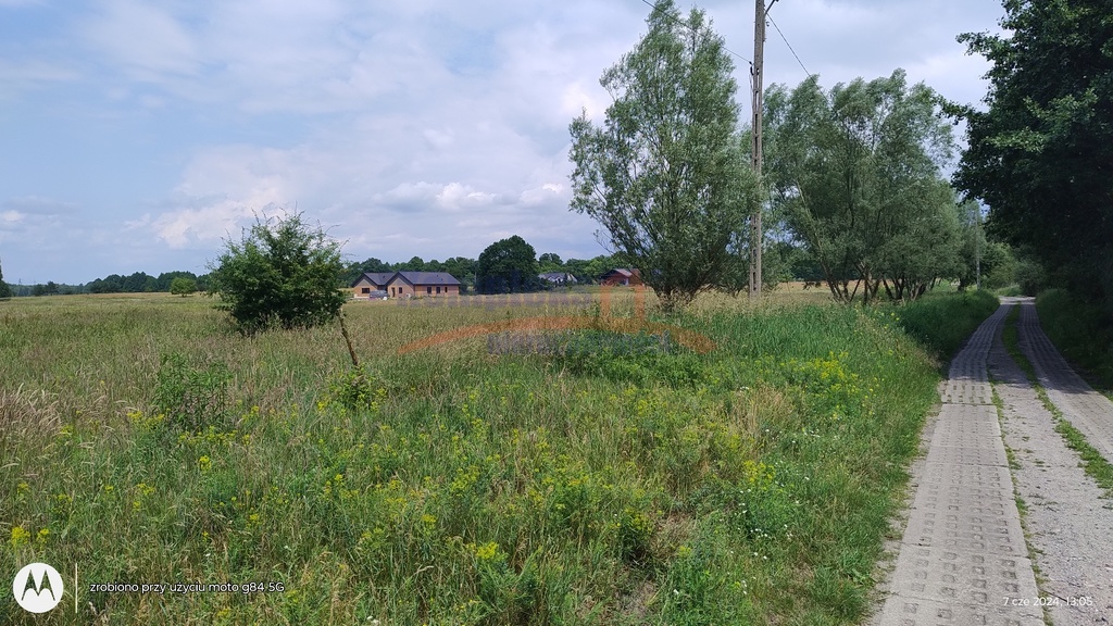 Siedliskowa, 3,097 m2, Łęgi  (1)