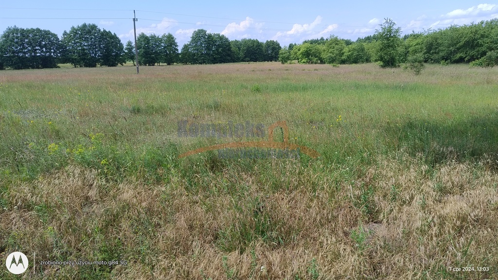 Siedliskowa, 3,097 m2, Łęgi  (2)