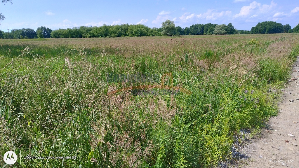 Siedliskowa, 3,003 m2, Łęgi  (1)