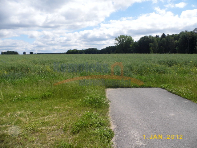 Rolna, 24,700 m2, Olchowo  (4)