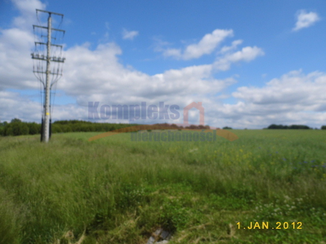 Rolna, 24,700 m2, Olchowo  (6)