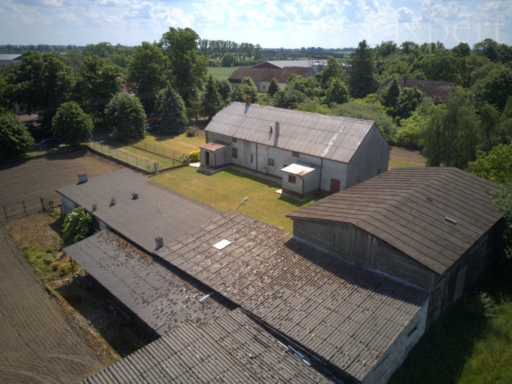 Lucin - dom - gospodarstwo rolne 32.500 m2 (5)