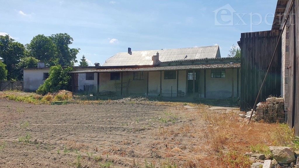 Lucin - dom - gospodarstwo rolne 32.500 m2 (13)