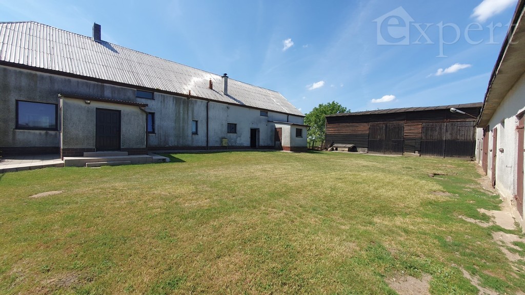 Lucin - dom - gospodarstwo rolne 32.500 m2 (10)