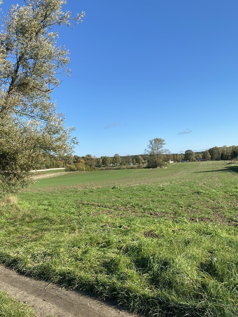 Działka w Rzęskowie na sprzedaż (1)