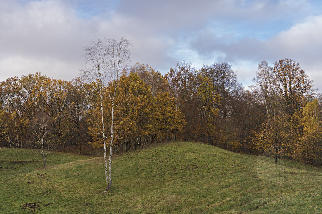 TERENY NATURY 2000 - świetne miejsce pod rekreację (2)