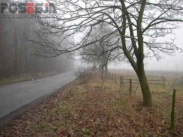 Budowlana, 1,610 m2, Turze  (3)