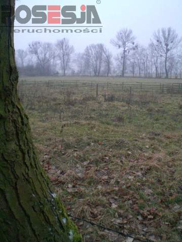 Budowlana, 1,610 m2, Turze  (9)