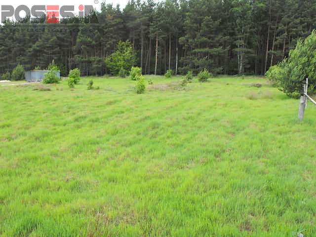 Piękna działka budowlana w Rurzycy (2)