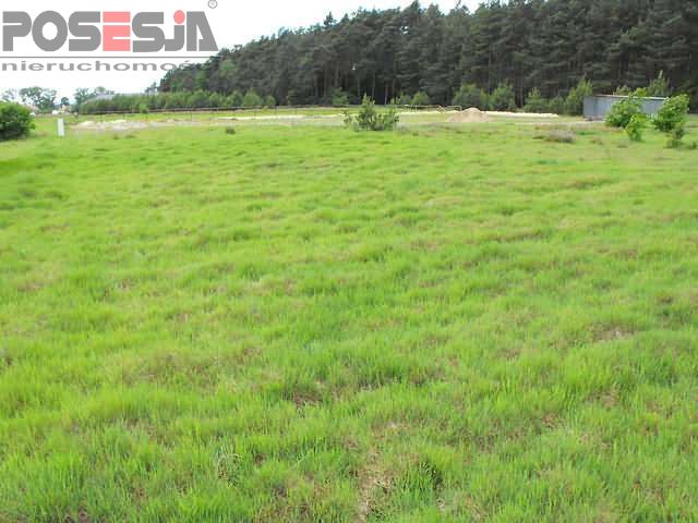 Piękna działka budowlana w Rurzycy (3)