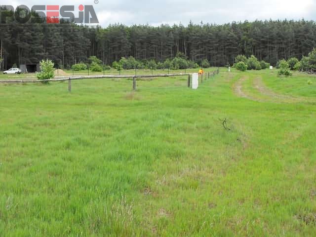 Piękna działka budowlana w Rurzycy (6)