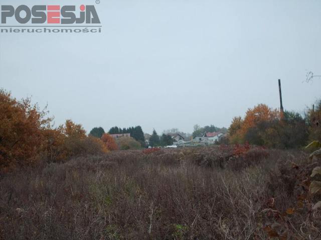Bezrzecze działka dla inwestora (5)