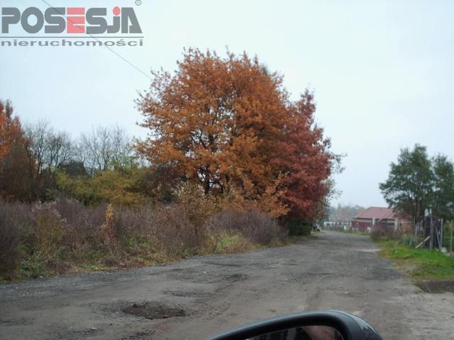 Bezrzecze działka dla inwestora (6)